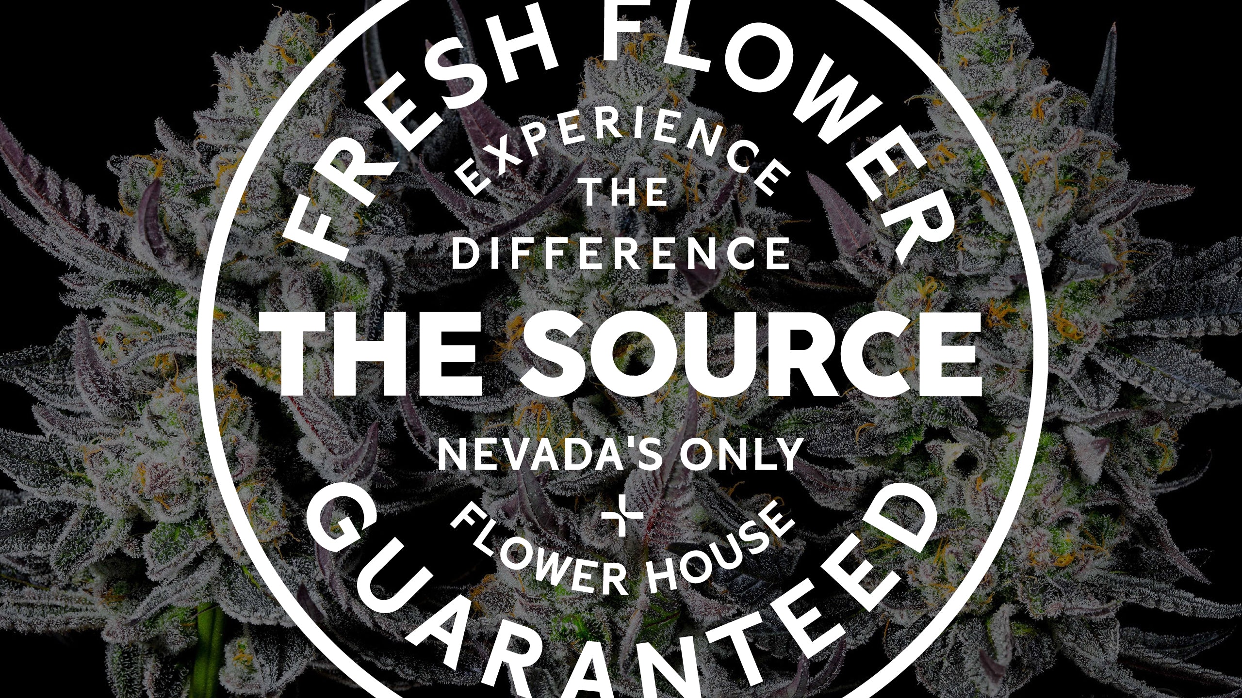 the source cannabis quality seal reads "fresh flower guaranteed. experience the difference. nevada's only flower house."
