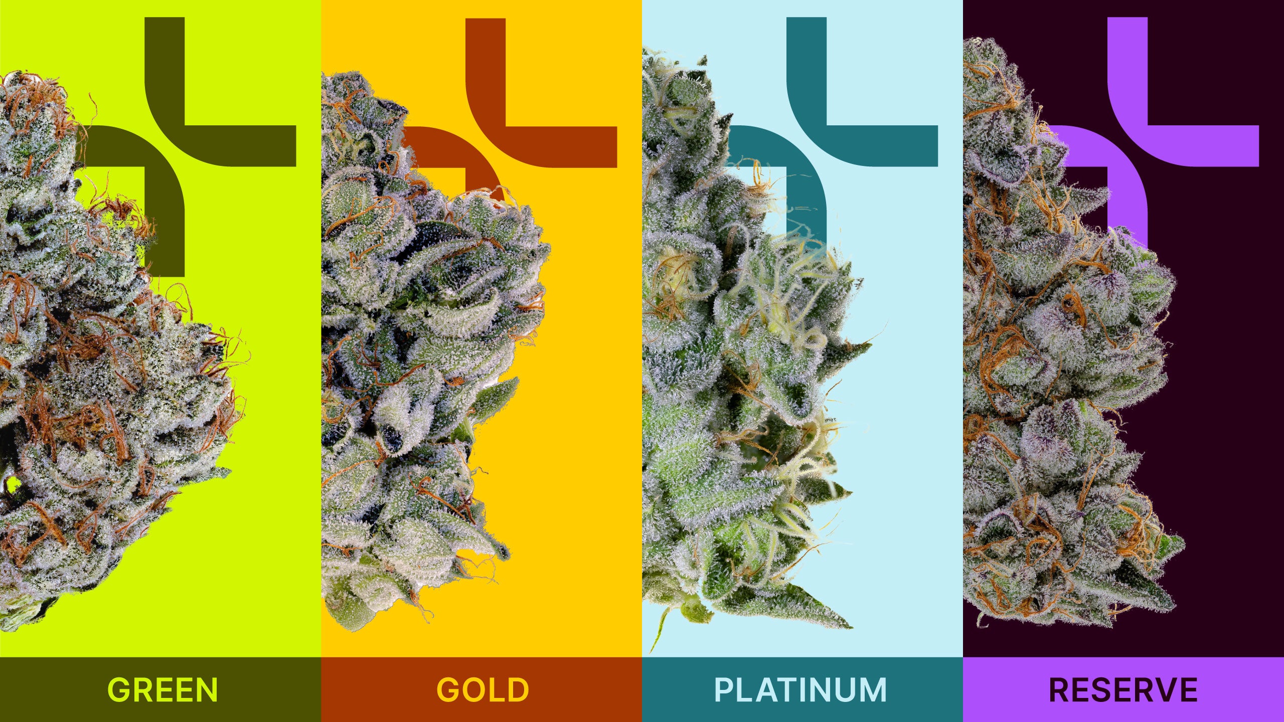 the source product tiers, featuring green, gold, platinum and reseve.