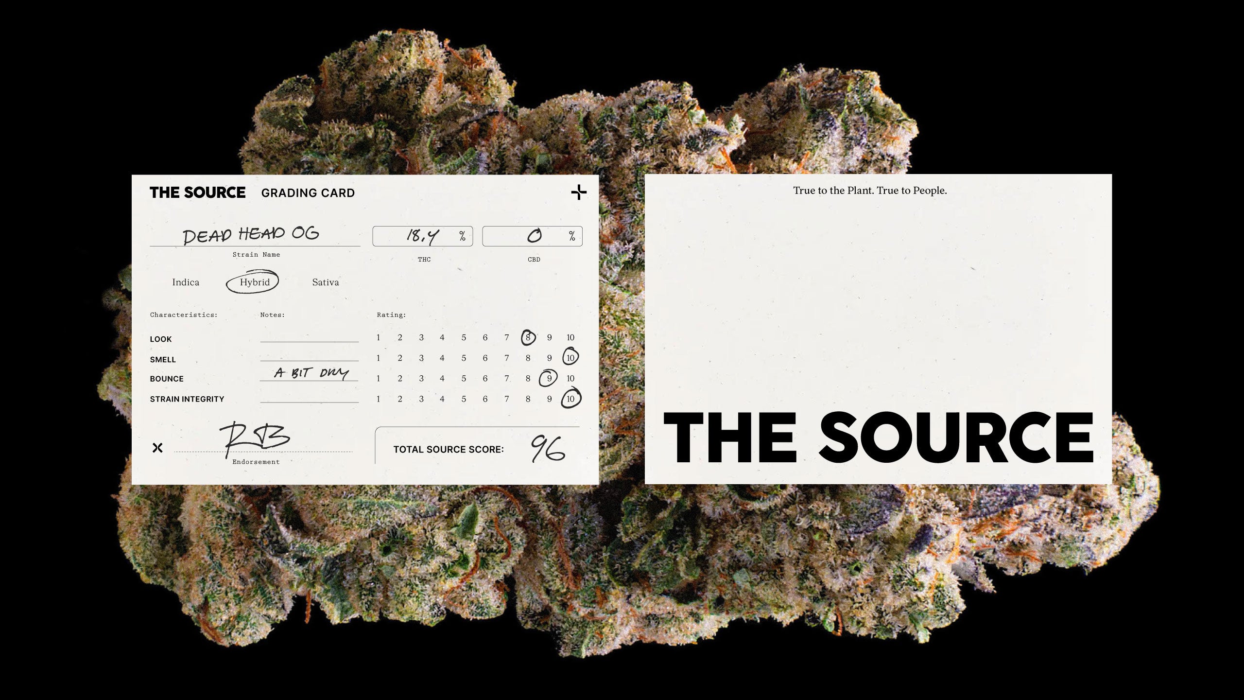 the source grading card for cannabis quality