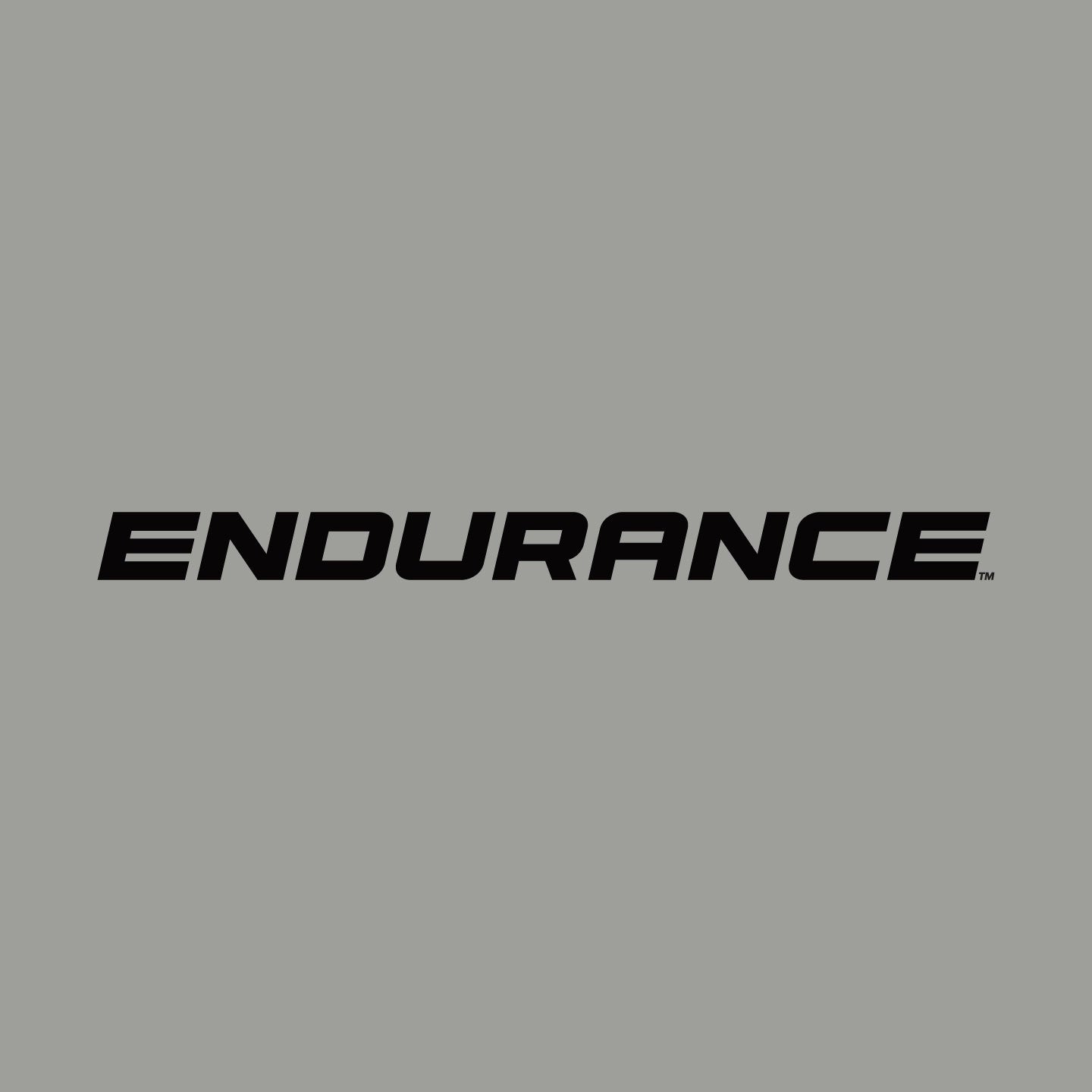 lordstown Endurance logotype