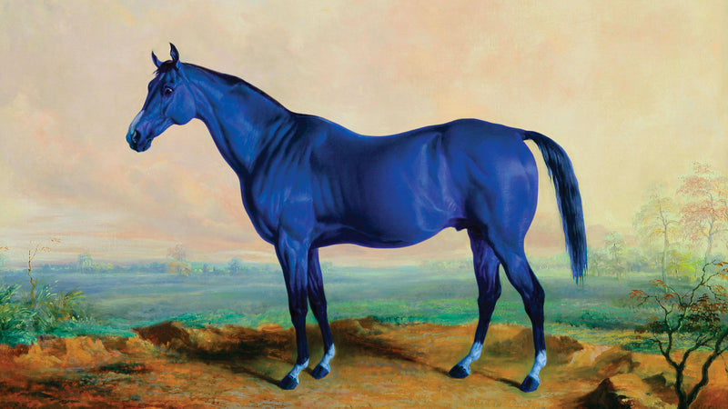 visit lex blue horse main character